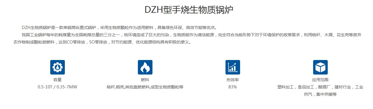 DZH型手燒生物質鍋爐產品介紹1.JPG